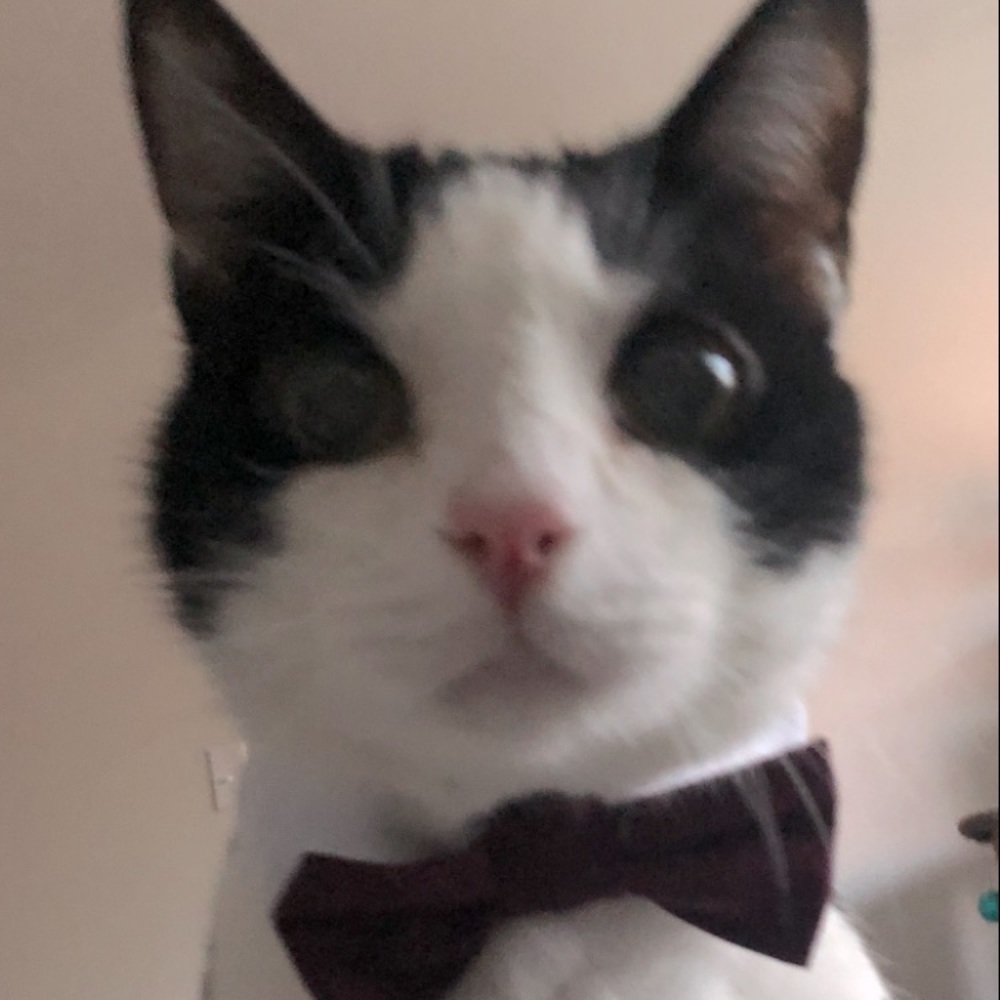 Meet your Posher, Laura